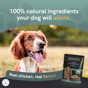 Food filled with 100% natural ingredients. Real chicken and tuna, real flavour for your dog.